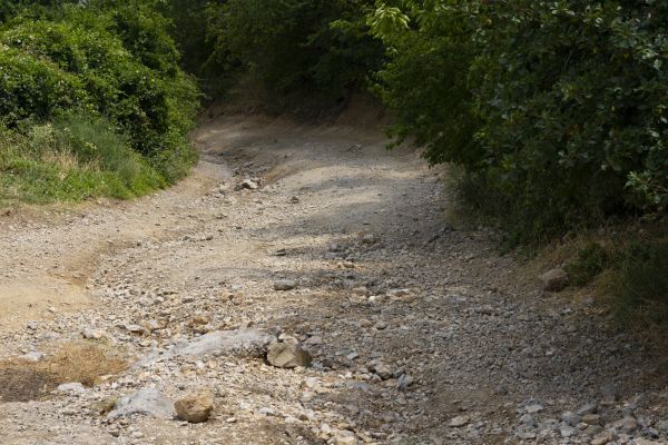 Cost of Gravel Road Pothole Repair in Mount Juliet