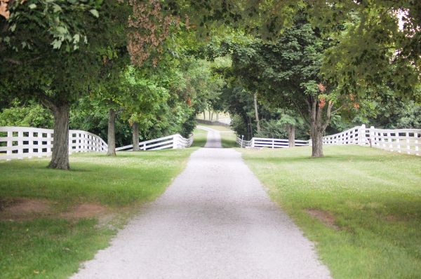 Cost of Gravel Road Installation in Mount Juliet