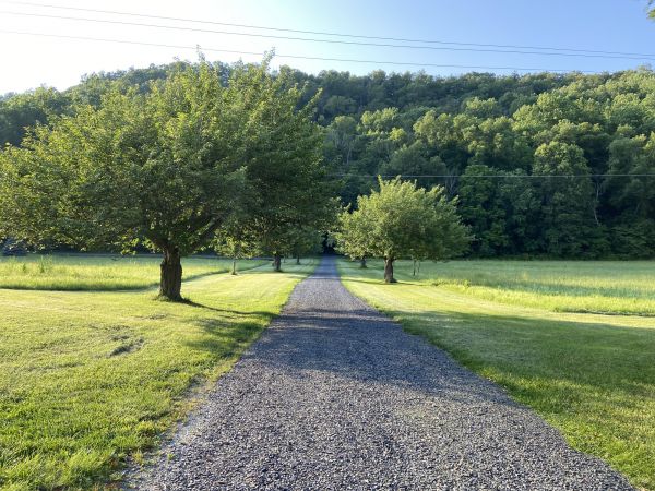 Cost of Gravel Road Construction in Mount Juliet