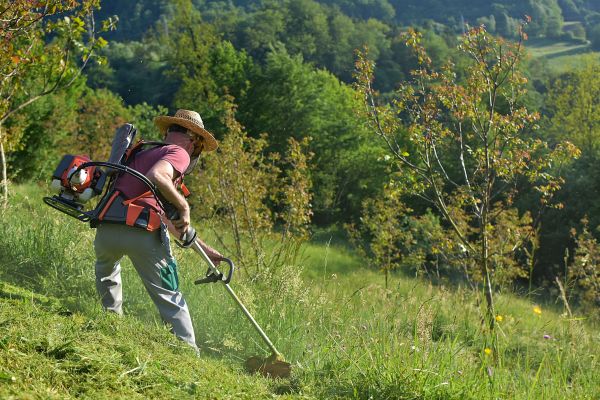 Cost of Slope Trimming in Mount Juliet